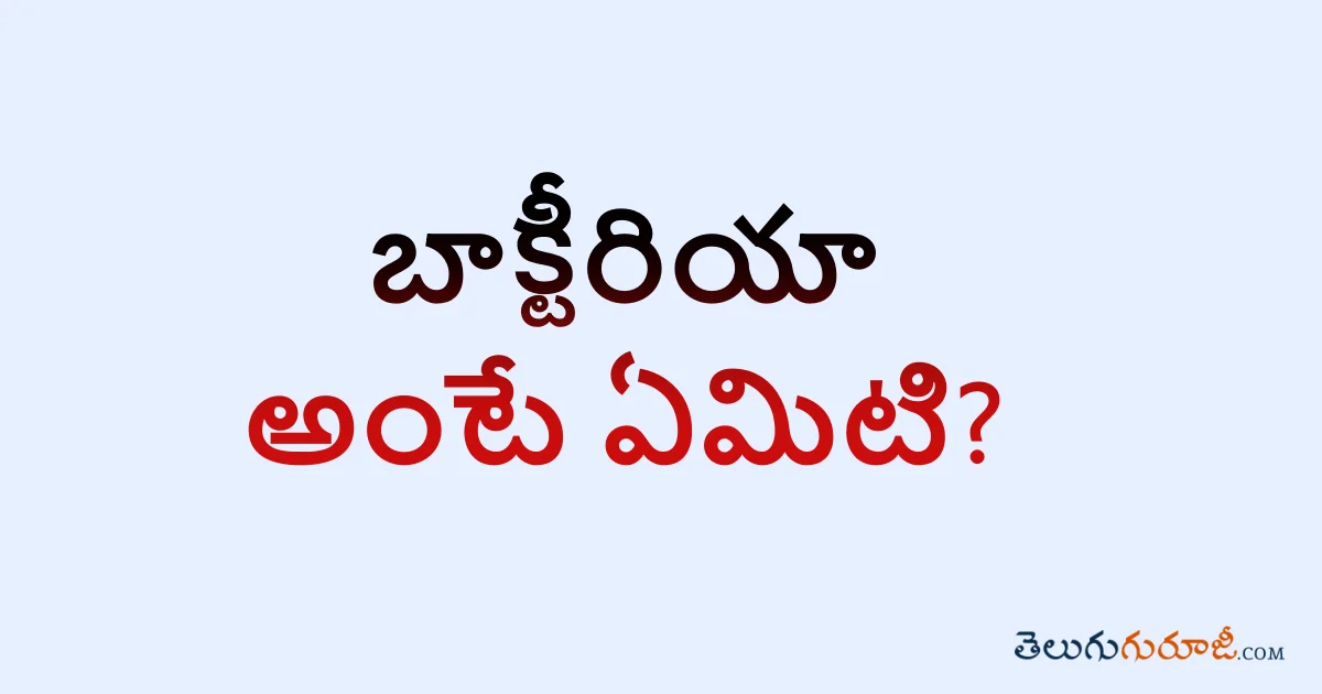 బాక్టీరియా అంటే ఏమిటి? What is Bacteria in Telugu?