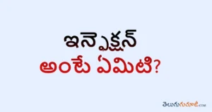What is an Infection in Telugu